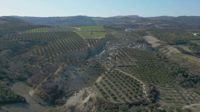 An earthquake creates a huge valley in an olive grove in Turkey