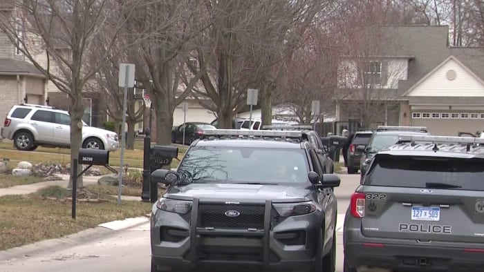 2 brothers shoot each other during argument in Westland - Vimarsana News