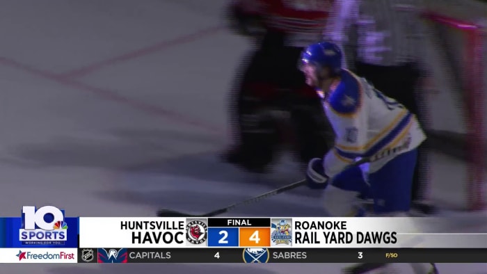 So I just discovered this was a thing. The Huntsville Havoc had