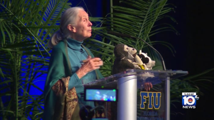 Jane Goodall brings message to Miami-Dade: ‘We have a window of time to try and slow down climate change’