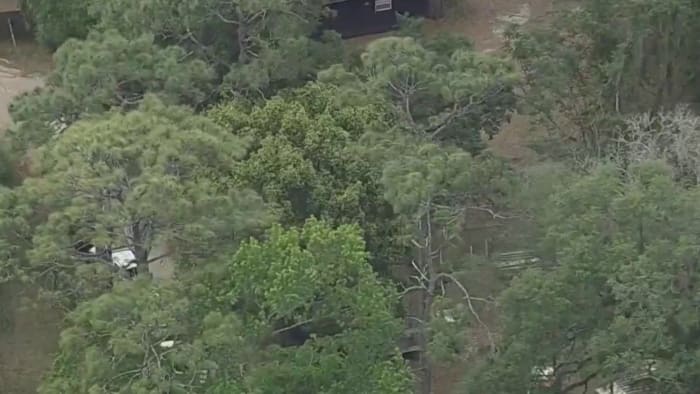 1 found dead in Marion County days after 2 others discovered shot along road, deputies say - Vimarsana News