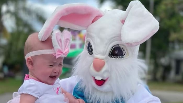 🥚 Raccoons ruin Easter egg hunt, awkward bunny photos in Central Florida Pins