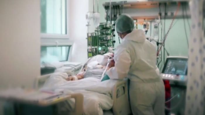 Tödliche, arzneimittelresistente Infektionen, die durch Candida auris verursacht werden, nehmen in Krankenhäusern in Michigan zu Tödliche, arzneimittelresistente Infektionen, die durch Candida auris verursacht werden, nehmen in Krankenhäusern in Michigan zu