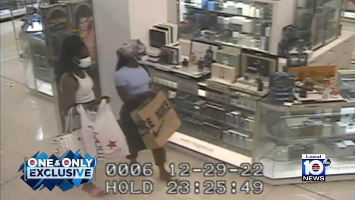 Thieves snatch Louis Vuitton, Chanel bags from cars at St. Johns Town Center  – Action News Jax