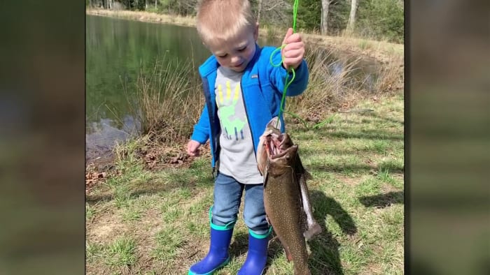 Cute video shows Giles Co. boy catching his first fish - “It's a big one!”