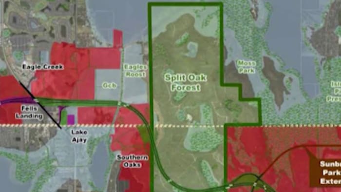 Despite opposition, Florida board OKs Split Oak Forest road project