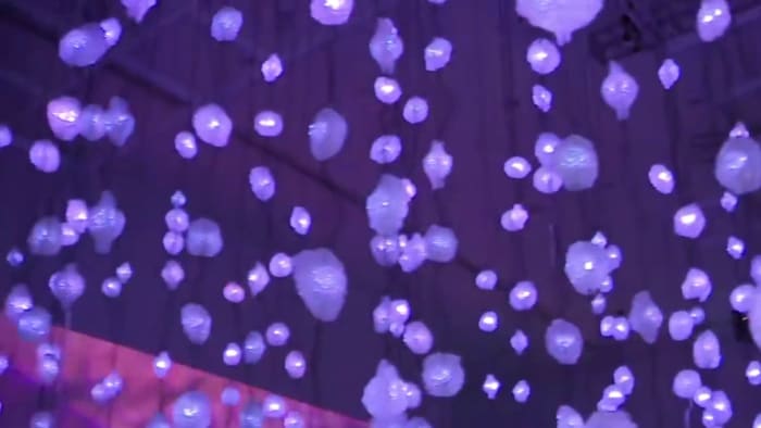 The colorful Pipilotti Rist: Pixel Forest and Worry Will Vanish exhibit now on display at Museum of Fine Arts Houston - Vimarsana News