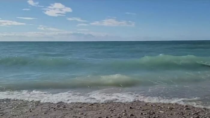 Travel and experience Michigan's beauty - Vimarsana News