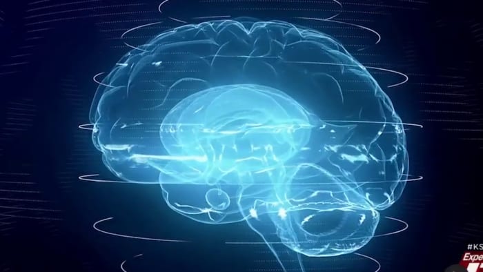 Connection concerning traumatic brain injuries and army suicides is principal subject matter at psychological health summit