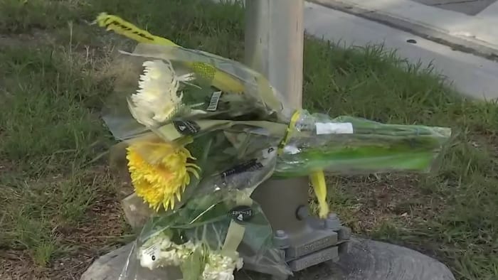 Fernandina Beach man dies after being hit by Nassau County Sheriff's Office deputy responding to call - Vimarsana News