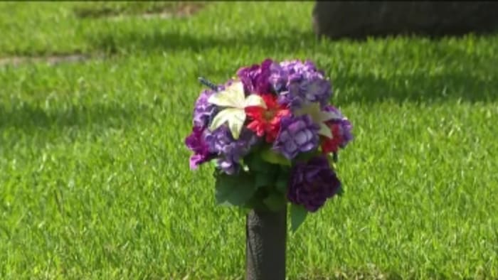 Family uses AirTag to help track down memorial vases stolen from their loved one's gravesites in Clute - Vimarsana News
