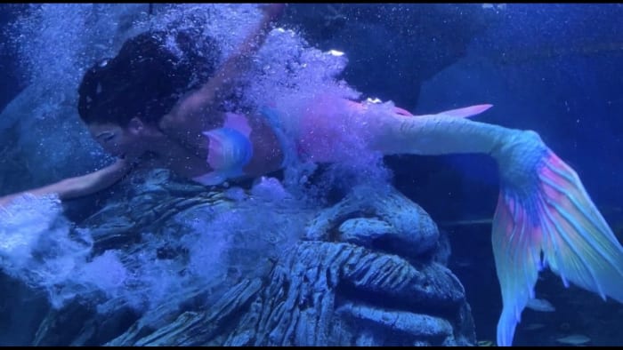 Mermaids will be in San Antonio for limited time in June and you can meet one