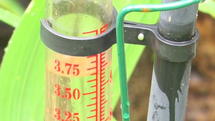 Virginia homeowners deal with increased rainfall - Vimarsana News