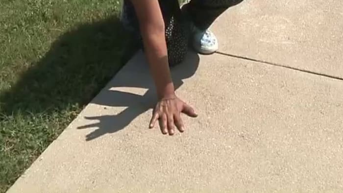 Testing you palm on sidewalk for 7 seconds could save your pets paws during high temperatures Testing you palm on sidewalk for 7 seconds could save your pets paws during high temperatures