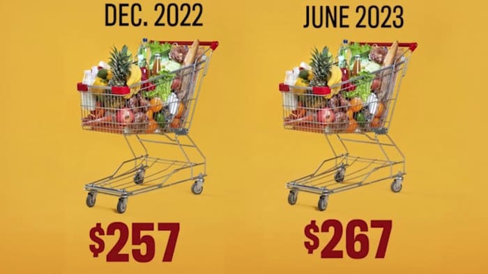 Same cart of groceries costs $10 more than six months ago - Vimarsana News