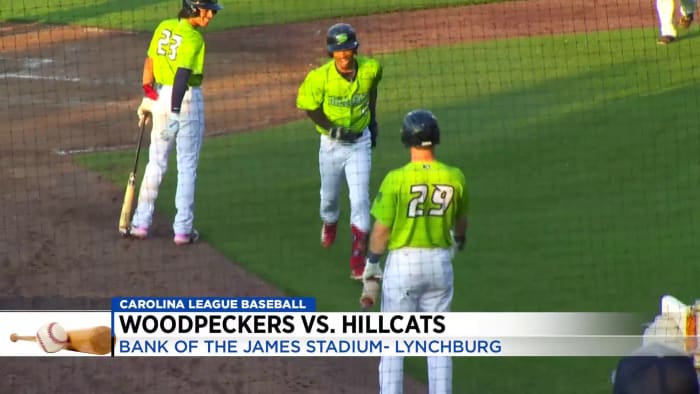 Woodpeckers in the MLB Postseason