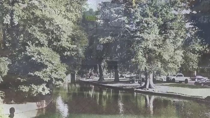Work on Brackenridge Park project could start within a month - Vimarsana News