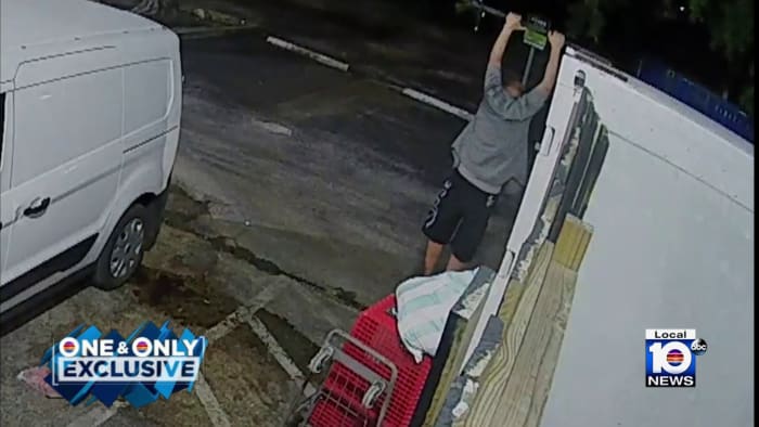 Miami cops want to get their claws on container-climbing lobster thief