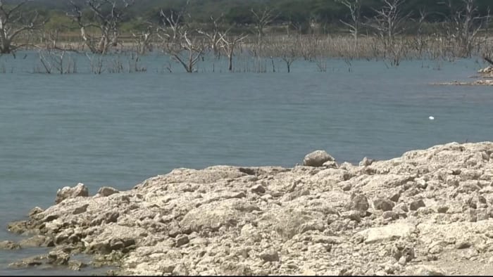 Water levels at Canyon Lake have residents, business owners worried - Vimarsana News