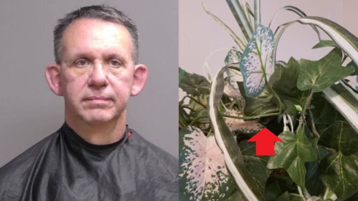 Florida HOA president gets 2 years in prison for planting hidden cameras in condo - Vimarsana News