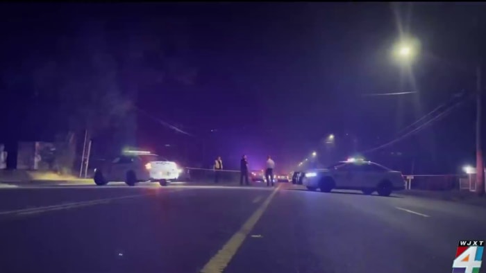 Good Samaritan hit, killed while helping dog struck by car on University Boulevard: JSO - Vimarsana News