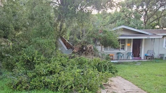 Tree falls, damaging DeLand home during storm