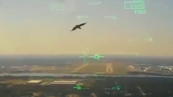 Army releases cockpit video of fowl strike earlier than Navy jet crash in Texas neighborhood in 2021 Army releases cockpit video of fowl strike earlier than Navy jet crash in Texas neighborhood in 2021