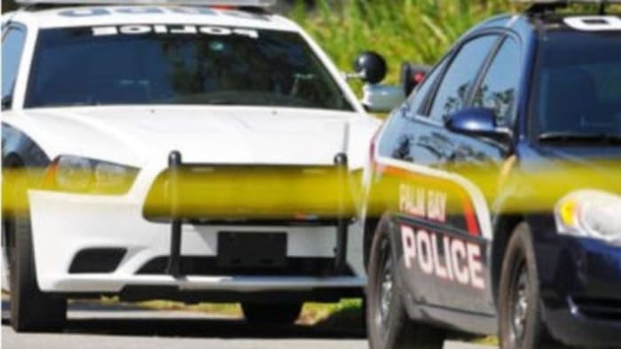 No description available