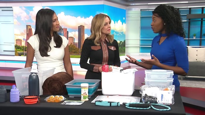 Houston veterinarian shares how to prepare pets for natural disasters