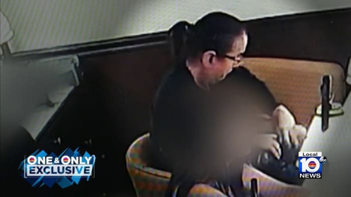 Police search for woman caught on camera stealing from customer's wallet at nail salon - Vimarsana News