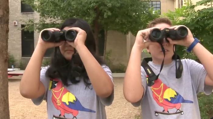 Urban Bird Project connects students with birds and nature