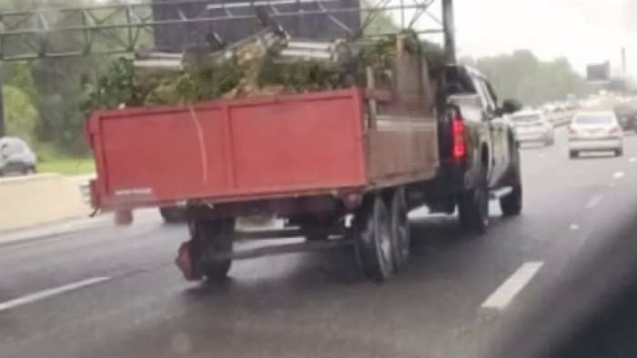 What the Honk: Wheel-less in Orlando