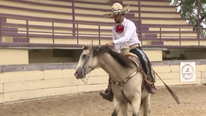 San Antonio Charro Association celebrates 76 years with traditional charreada tournament - Vimarsana News