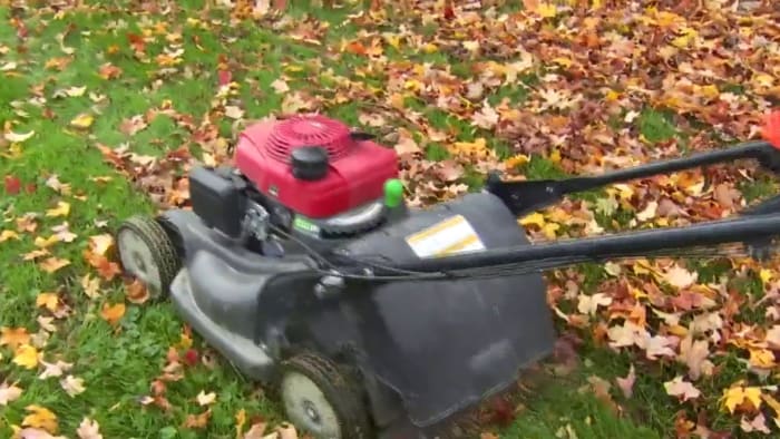 To mulch or bag your leaves? Why Virginia Tech experts say one is better than the other