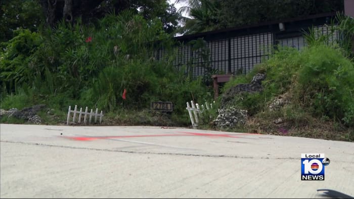 Miami homeowner believes fiber optic line was installed underneath her home without consent - Vimarsana News