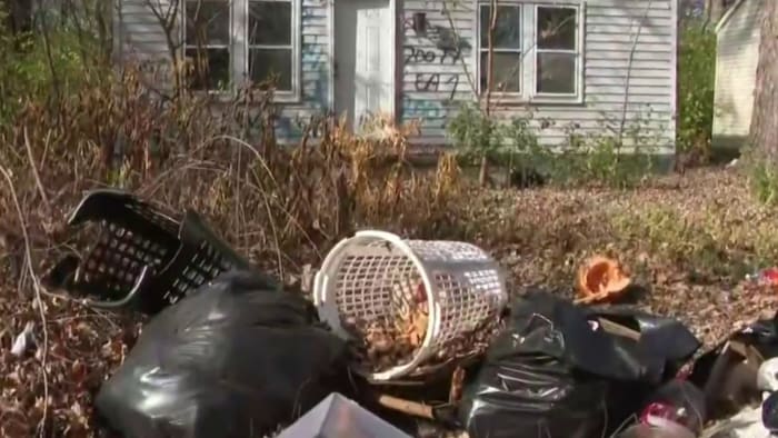 Detroit cleans up illegal dumping site that contained abandoned vehicles, houses