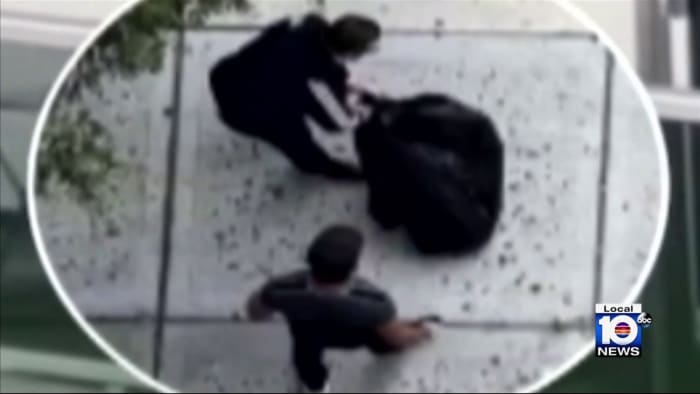 Owner sought after dog dies falling 30+ floors from Miami apartment balcony - Vimarsana News