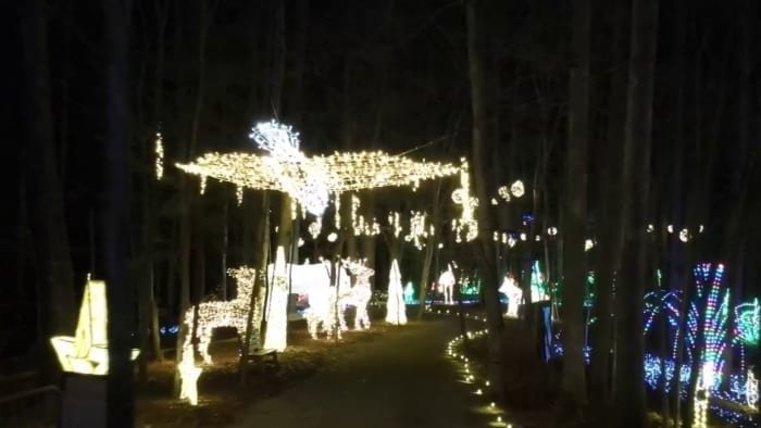 Illuminights returns for its fifth year - Vimarsana News