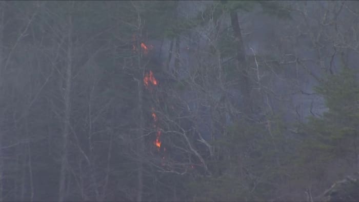 More than half of Matts Creek wildfire contained with Mother Nature's help - Vimarsana News
