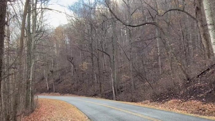 Tuesday's rainfall on Matts Creek wildfire equal to 1.1B gallons of water - Vimarsana News