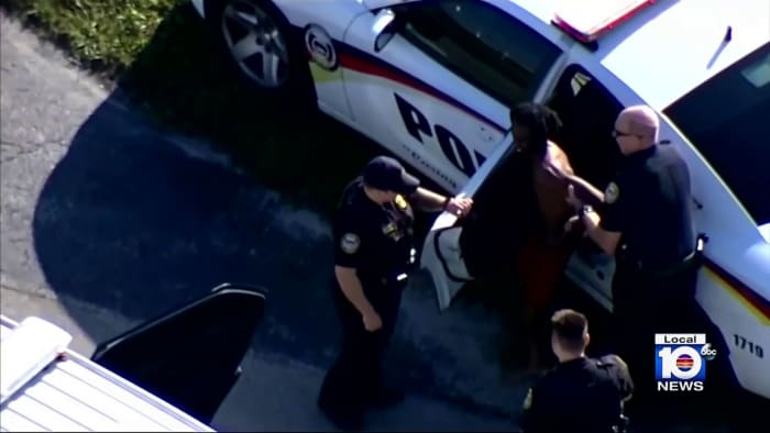 Seminole Sheriff's pilot alerts deputies after Ring camera captures car-break  in suspects