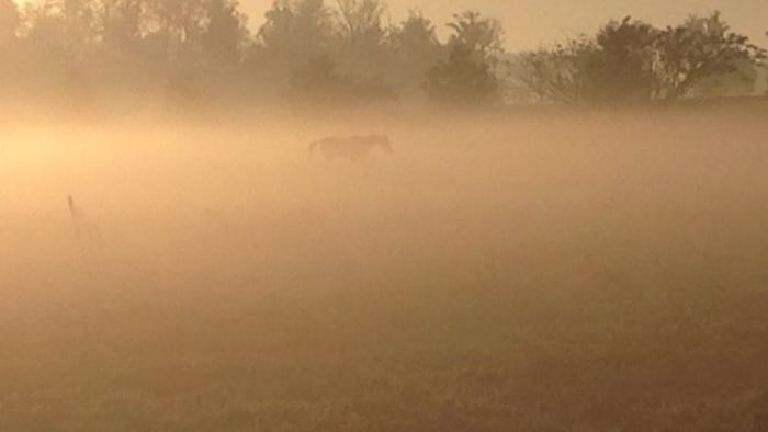 No description available