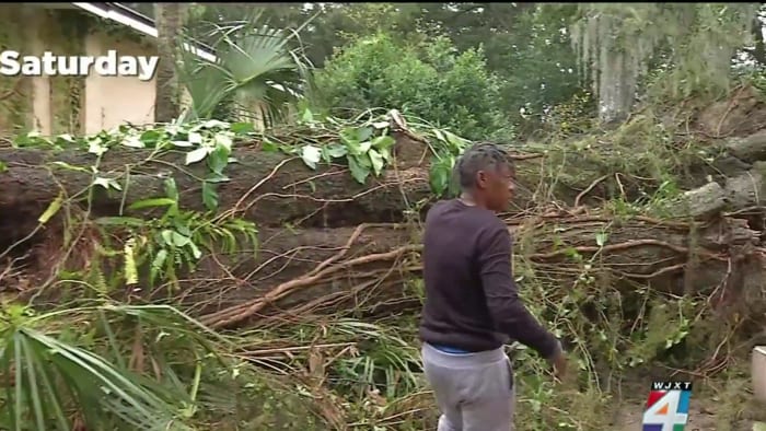 Jacksonville family with disabilities forced to move out of home after massive oak tree falls on AC, septic tank - Vimarsana News