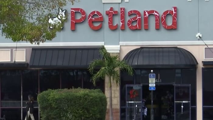 Orlando pet store must pay for sick, dying puppies, Florida attorney general says
