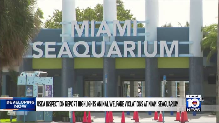 Findings from USDA report reveal additional animal welfare issues at Miami Seaquarium