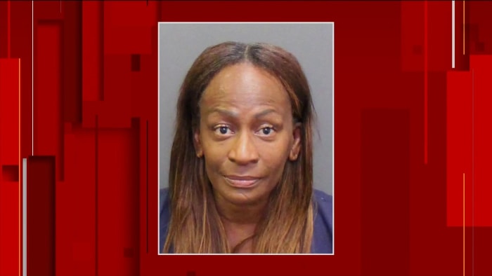 Orlando Commissioner Regina Hill arrested on charges of elderly exploitation, mortgage fraud - Vimarsana News