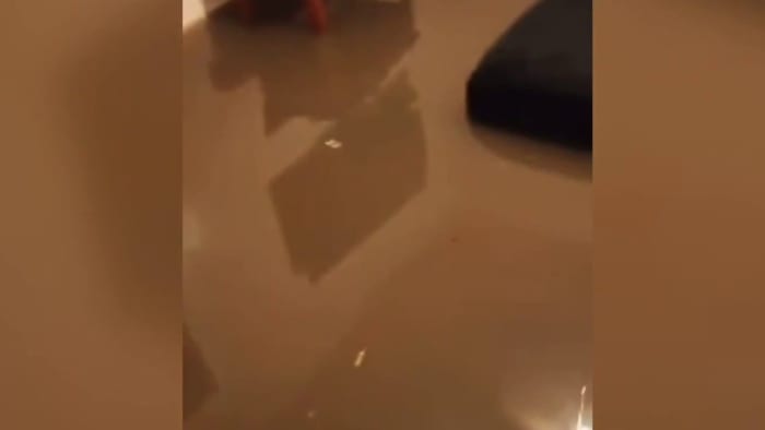 Pregnant woman, her boyfriend, 5-year-old swim nearly 50 yards after being trapped due to rising flood waters - Vimarsana News