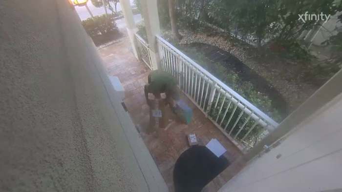 Two Arrested in Package Theft Spree