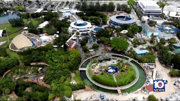 Miami Seaquarium sues county to stop eviction, claiming animals will ‘likely perish’ otherwise