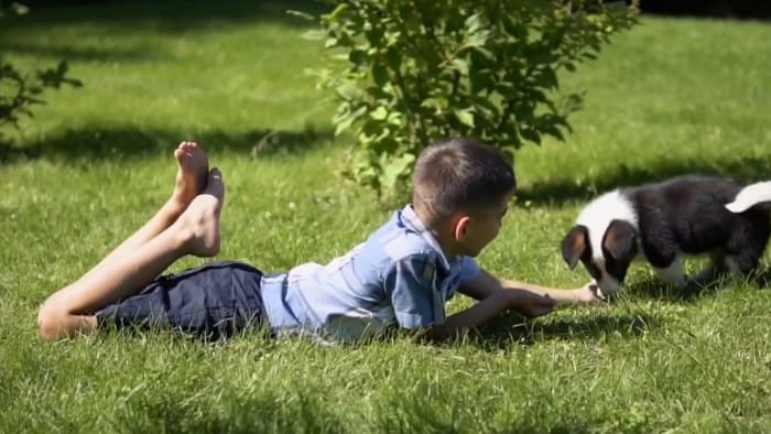 U-M doctor emphasizes tick safety as weather warms up - Vimarsana News